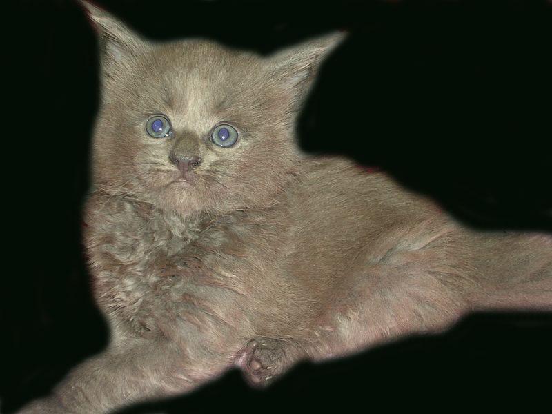 1 mois .jpg